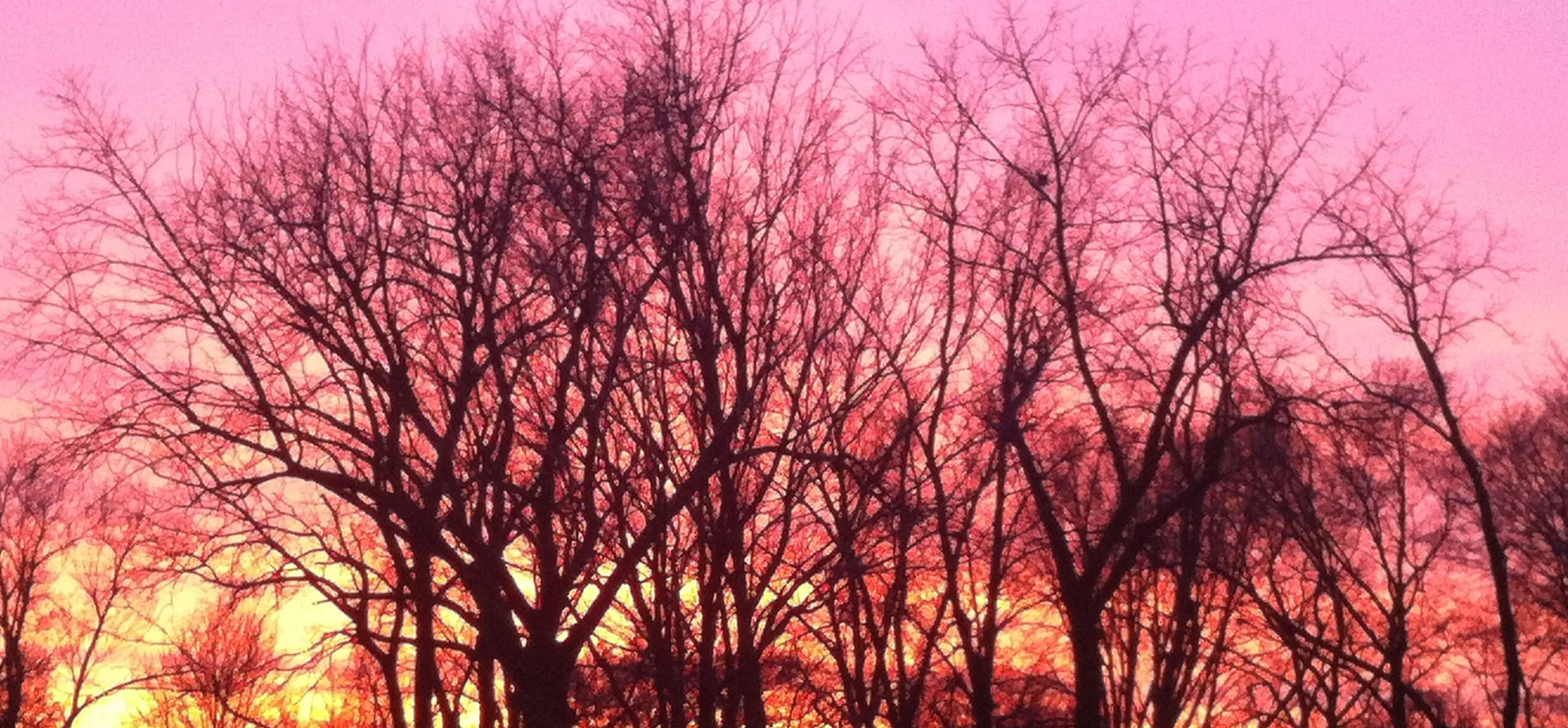 Sunset.jpg