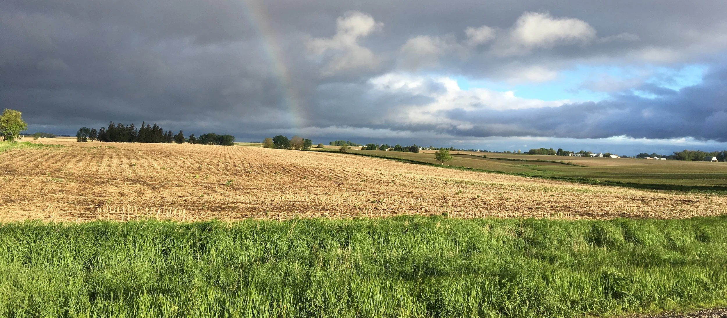 Field_And_Rainbow.JPG