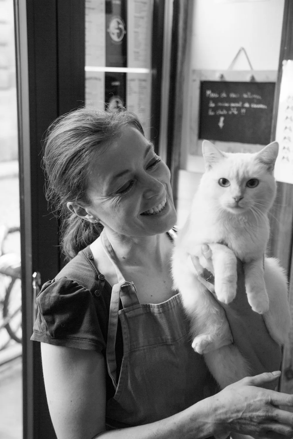 Le Comptoir De Chats
