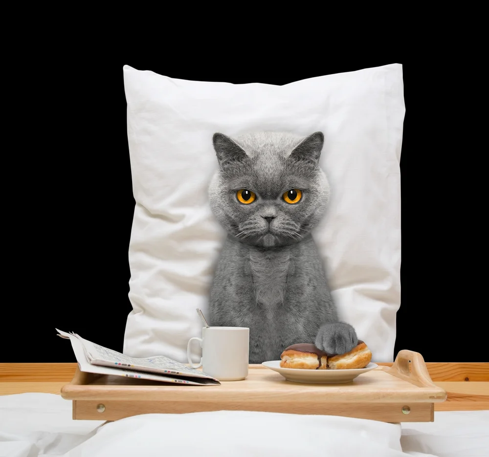 shutterstock_436432927.jpg