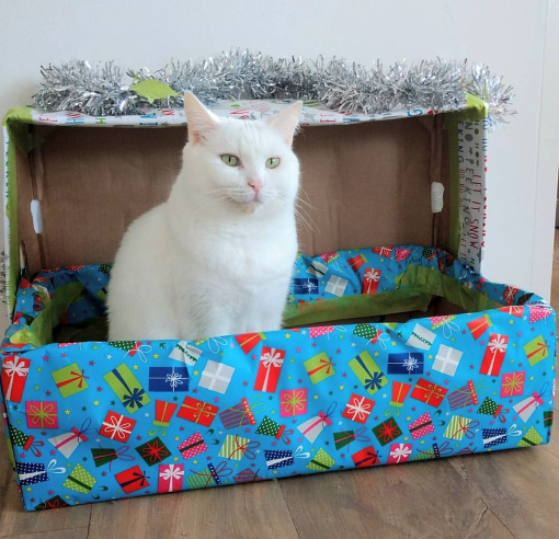 When you get everything you’ve ever wished for…. a box!
