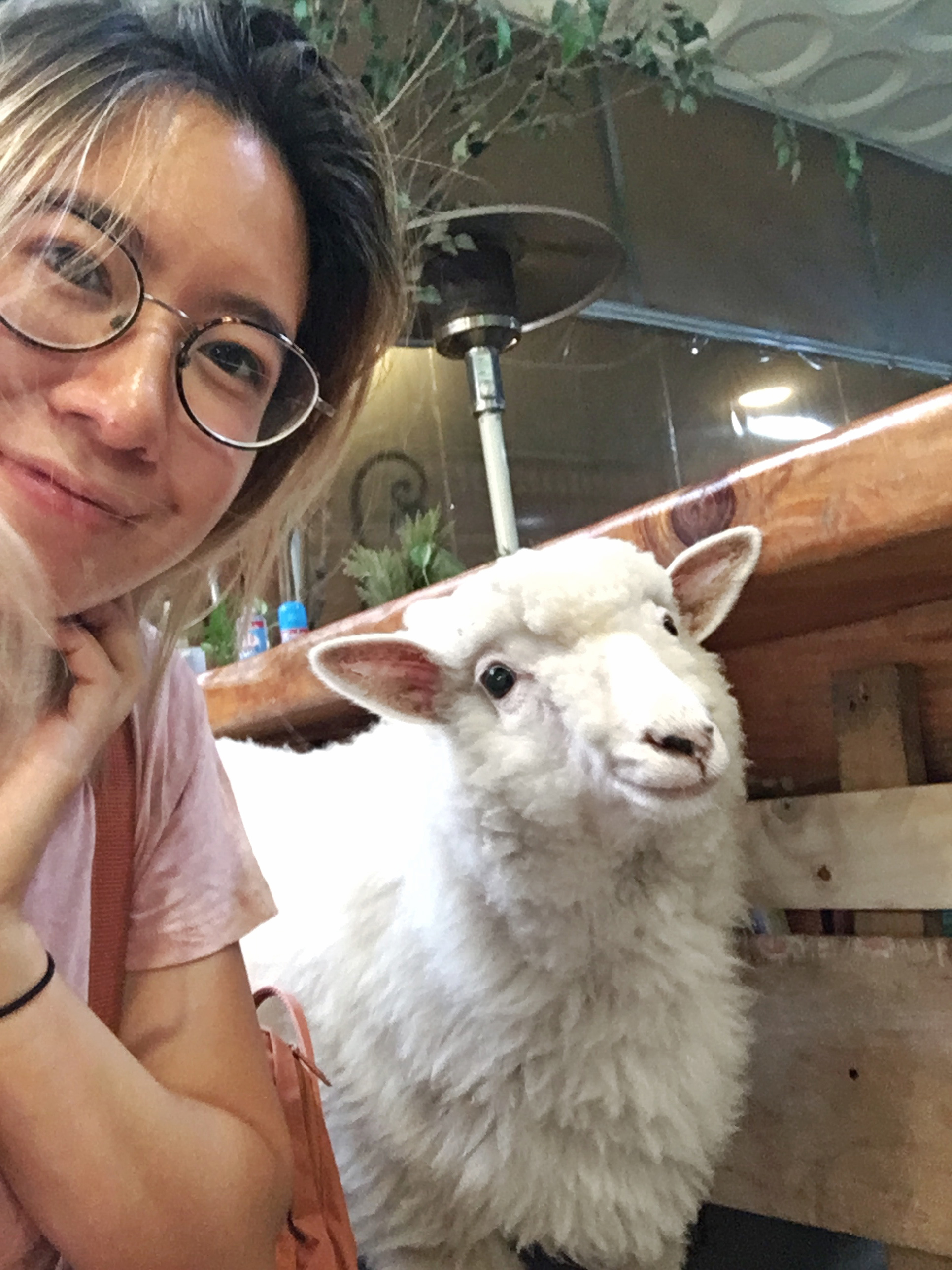 FullSizeRender 5.jpg