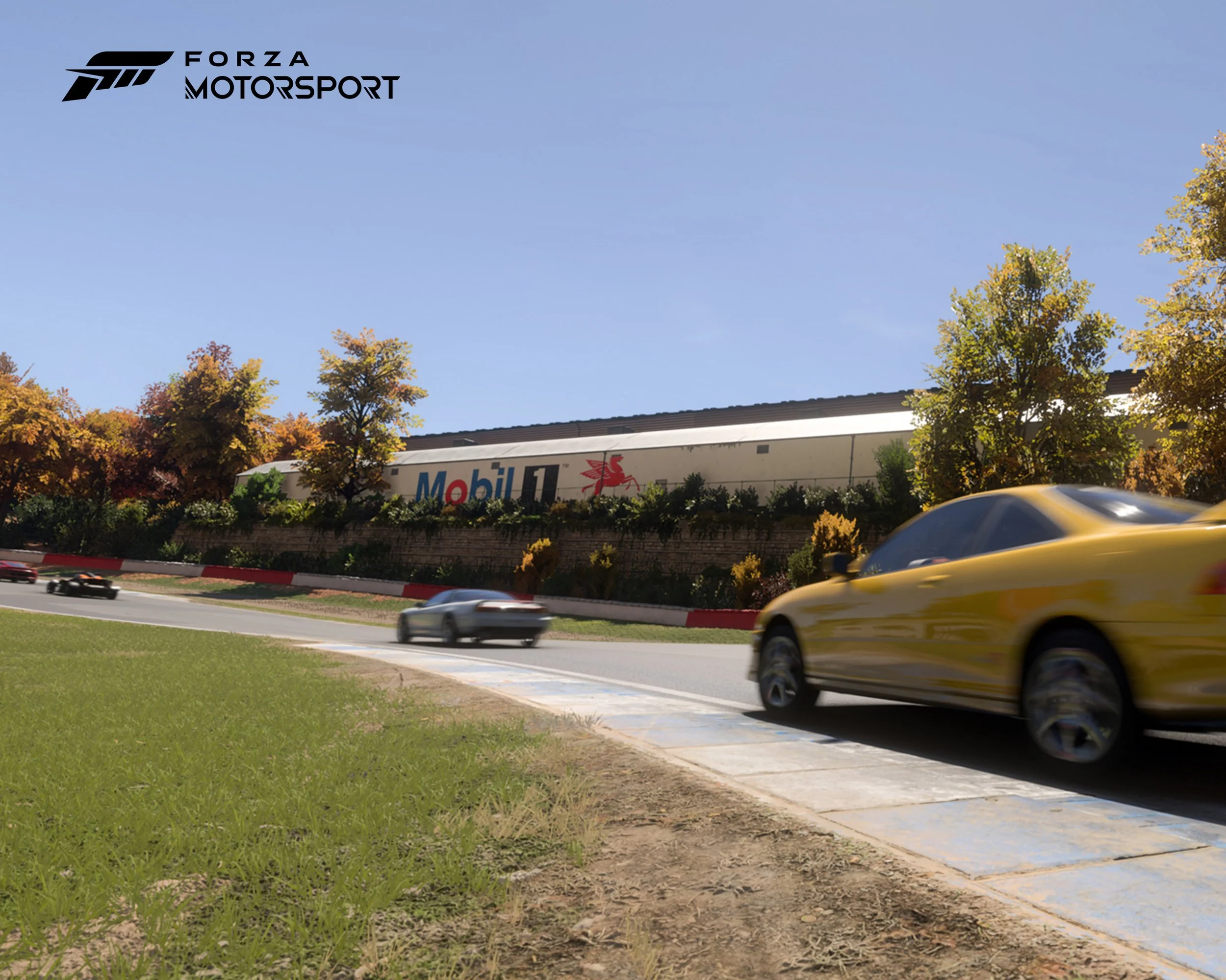 1.5_3000 x 2400_Clio.jpg