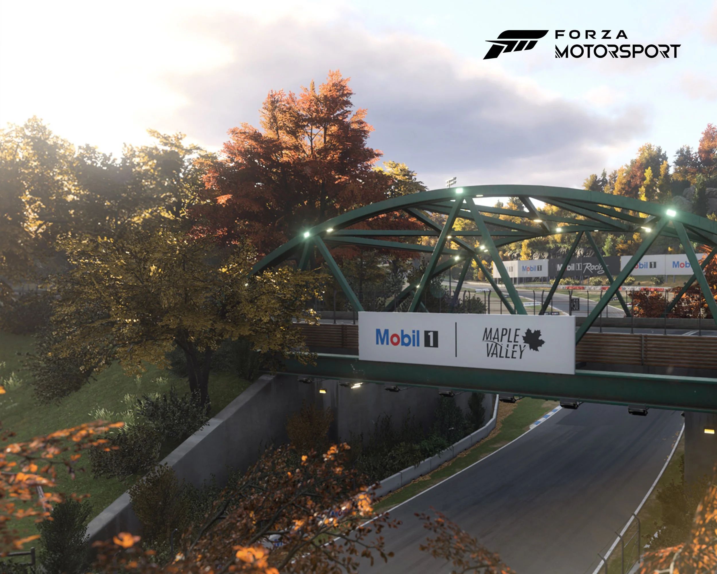 1.2_3000 x 2400_Clio.jpg