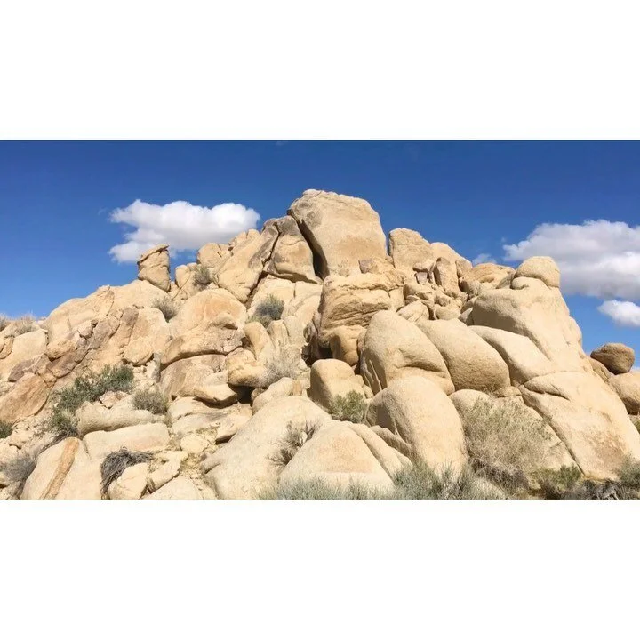🎶 Andy Zwerling ⛰ 
Thanks to @meltedradio
