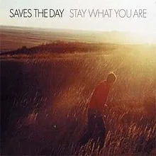 Saves The Day