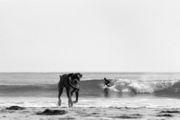 kyle_and_dog_2013_16x2401.jpg