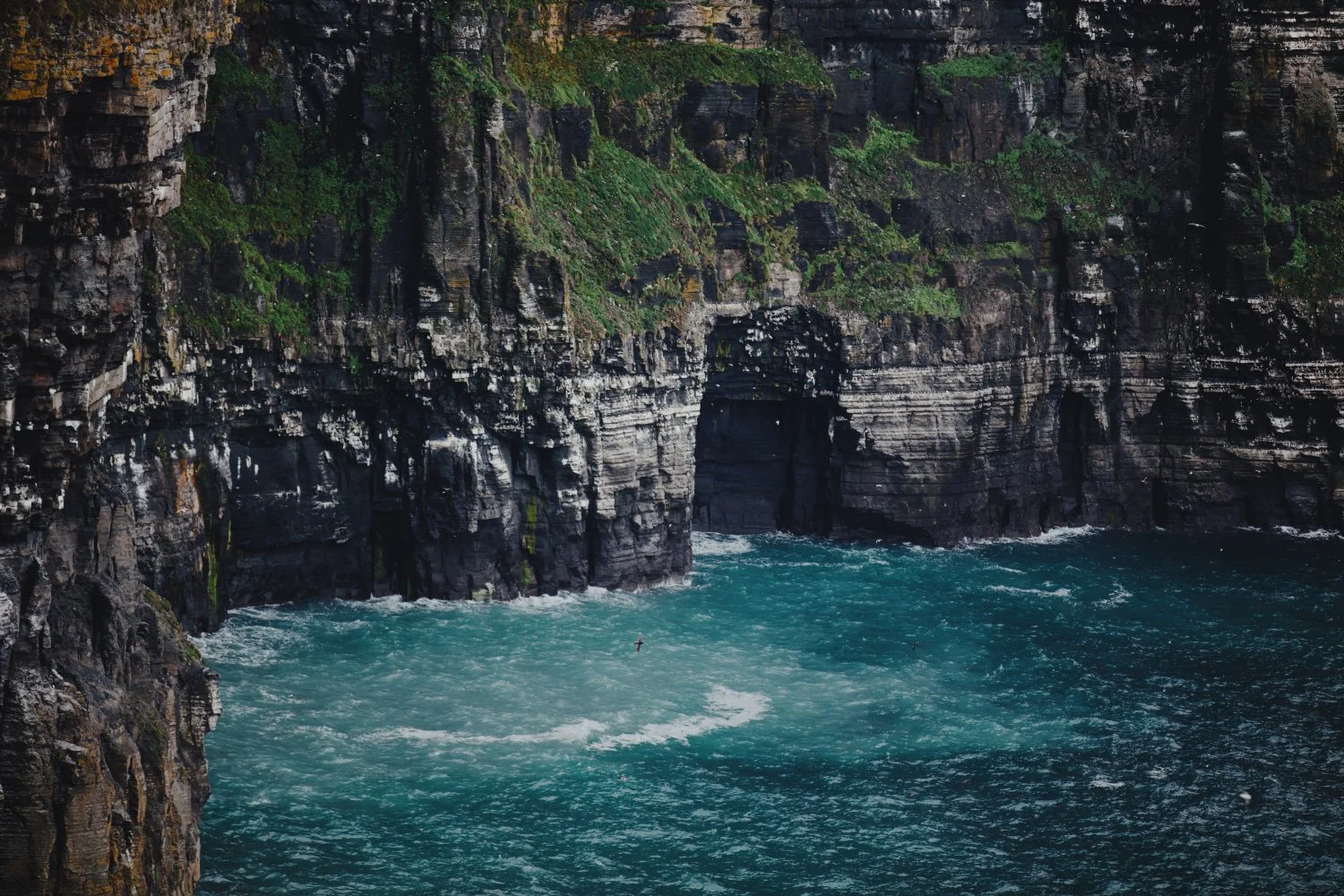 Cliffs of Moher, Ireland 2025.