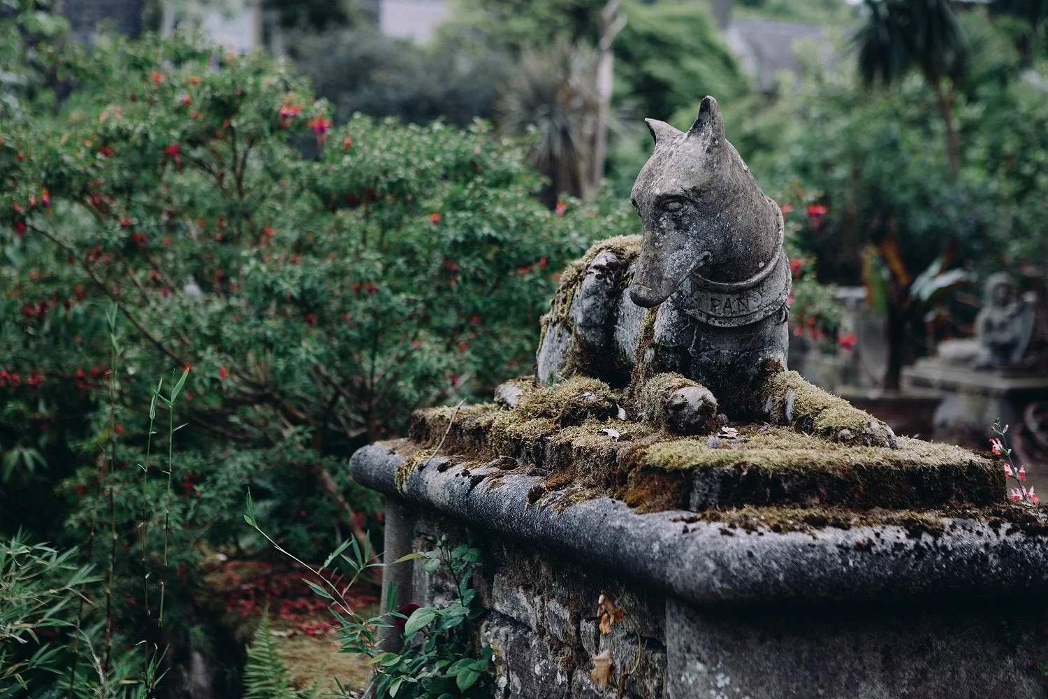 Mount Stewart, County Down, Ireland. 2025.