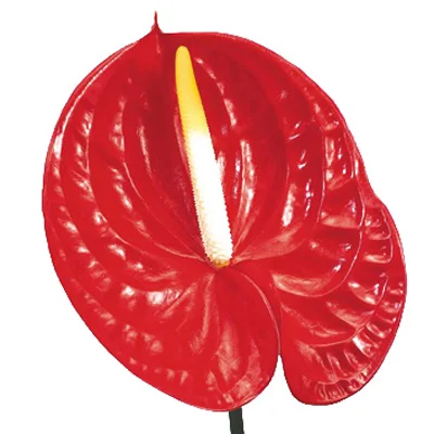 MADDER LAKE ED. #7: Context is Everything 