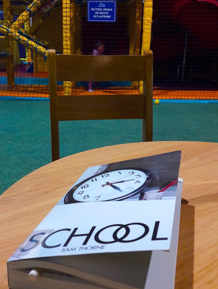 MADDER LAKE ED. #8: TOWARDS AN ART EDUCATION