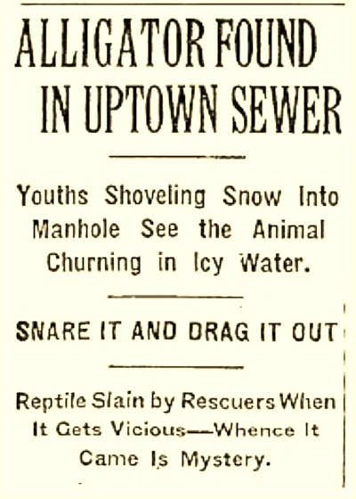 A headline from the February 10, 1935, issue of The New York Times.