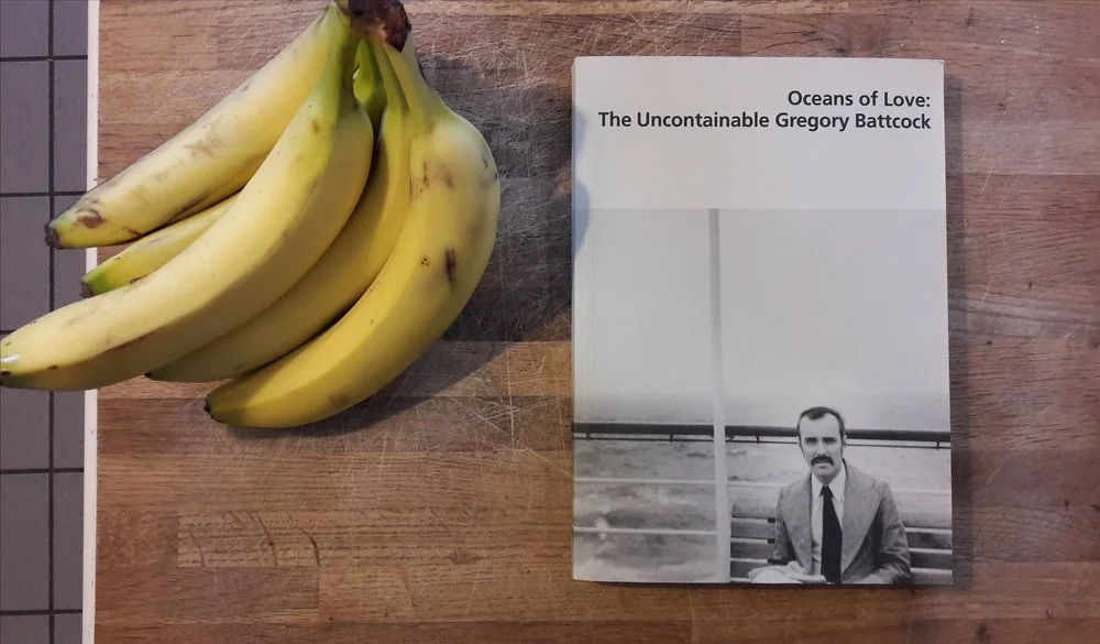 MADDER LAKE ED. #12 : TOWARDS NOSTALGIA 