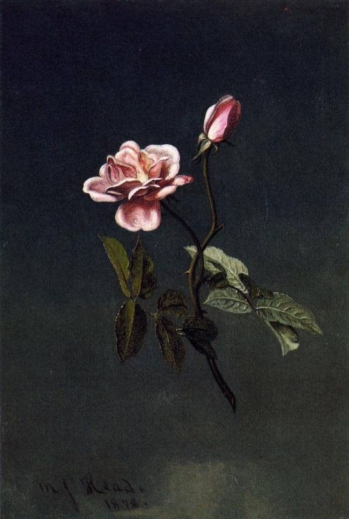 Martin Johnson Heade, 1878.