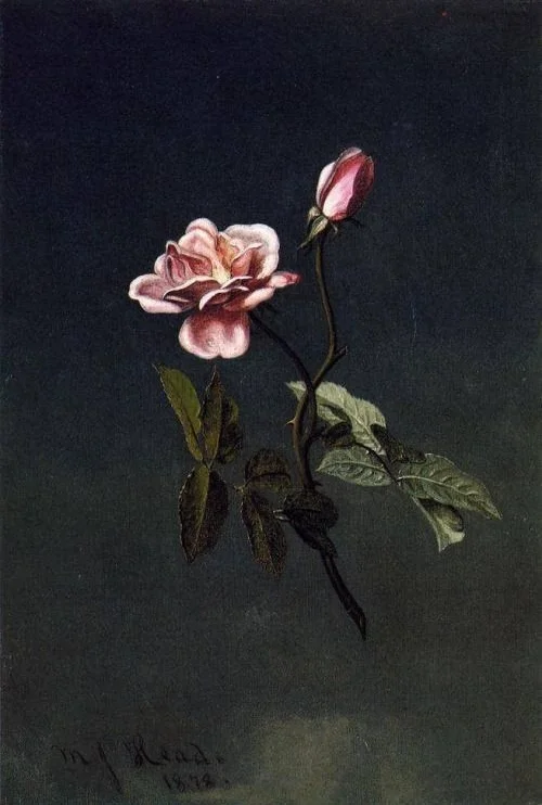 Martin Johnson Heade, 1878.
