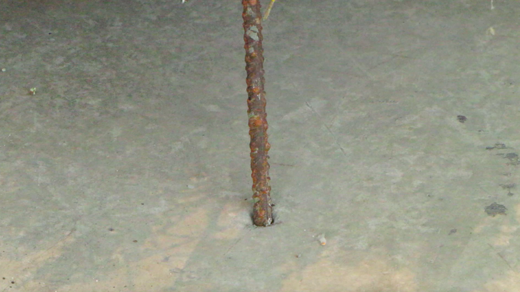 Paul Mosse, 'What’s with the Apocalypse?', Visual Carlow,&nbsp;16 September –&nbsp;12 January, 2017.