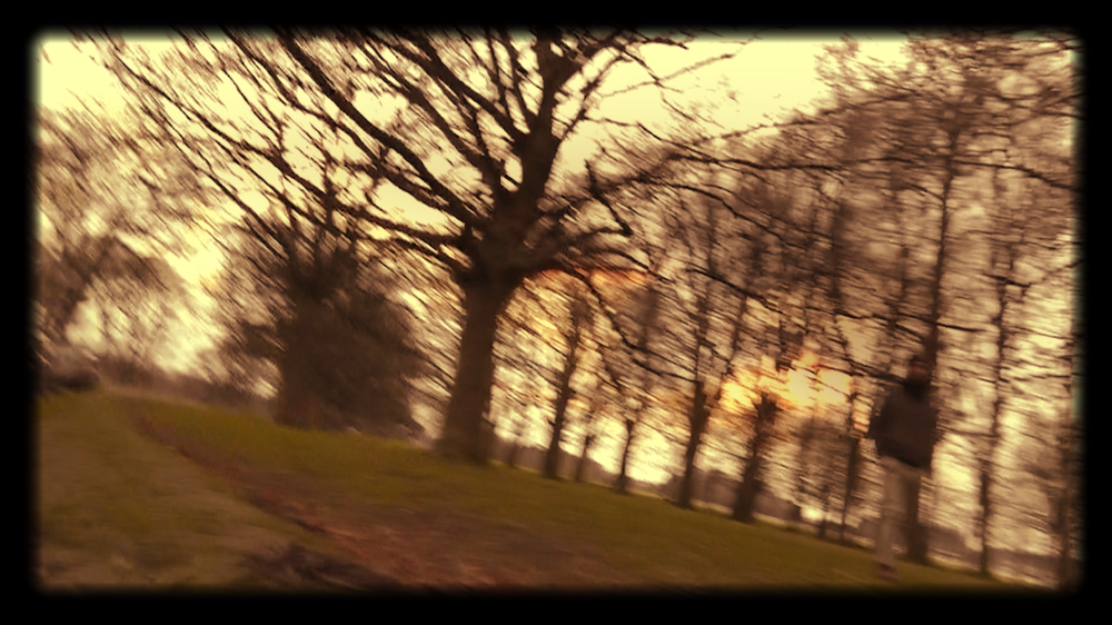 MADDER LAKE ED. #17 : TOWARDS ✖️ EVA  