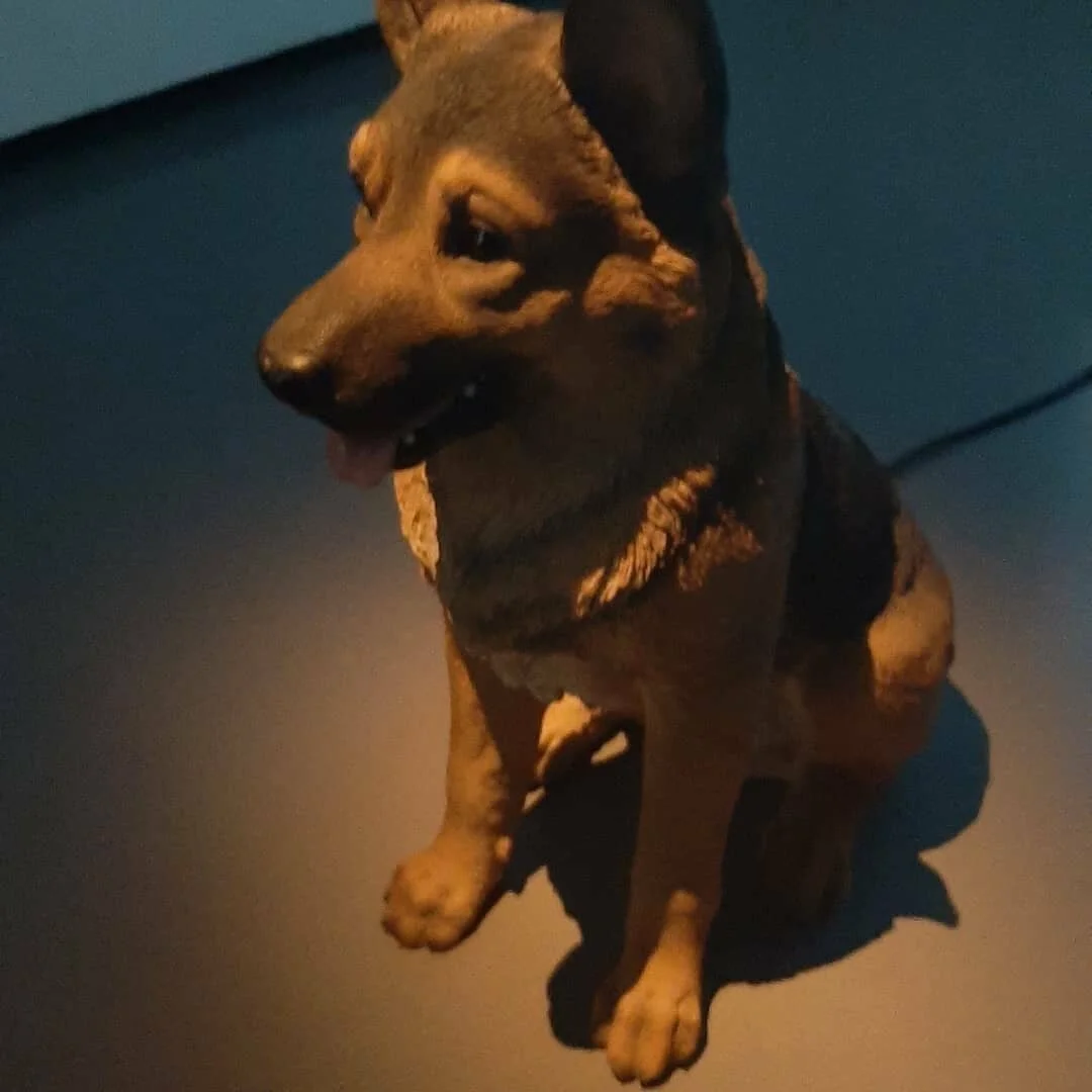 Steve Bishop at Douglas Hyde Gallery