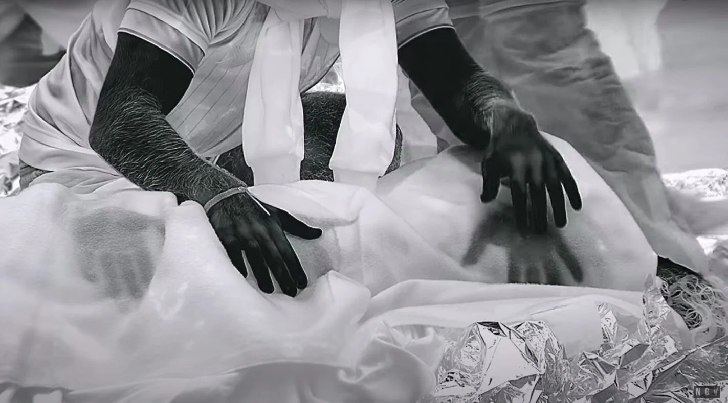 Still frame from Incoming, 2014-2107, three-screen video installation, 52 mins 10 secs, with 7.1 surround sound. ©Richard Mosse