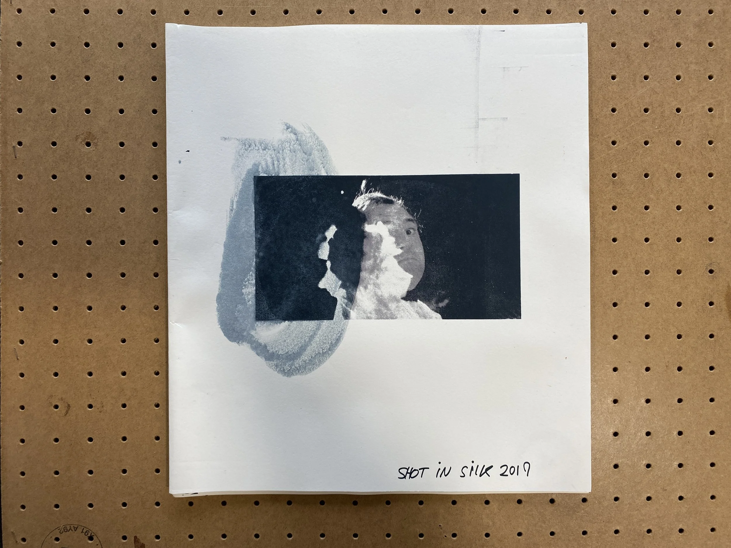 Shot in Silk, featuring selection of artists presented at Pallas Projects/Studios exhibition, ARRANGEMENTS, 2020. Edition of 30, pp.32.