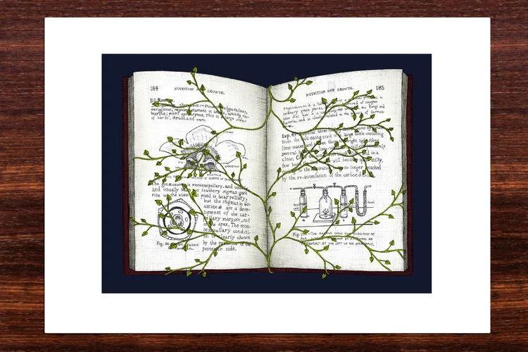 Book-plain.jpg