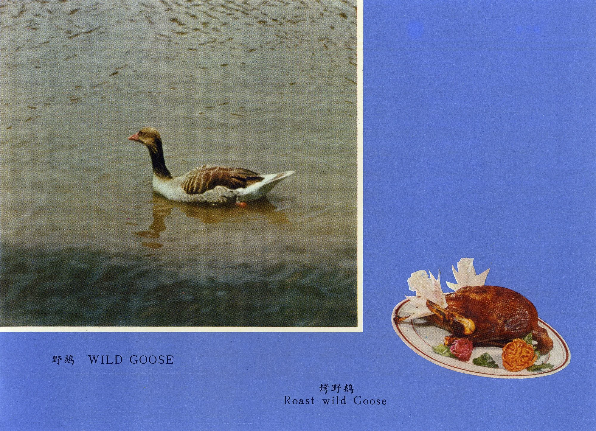 Wild goose. Frozen game , loose set of cards in envelope, 1980s. Courtesy of The Archive of Modern Conflict