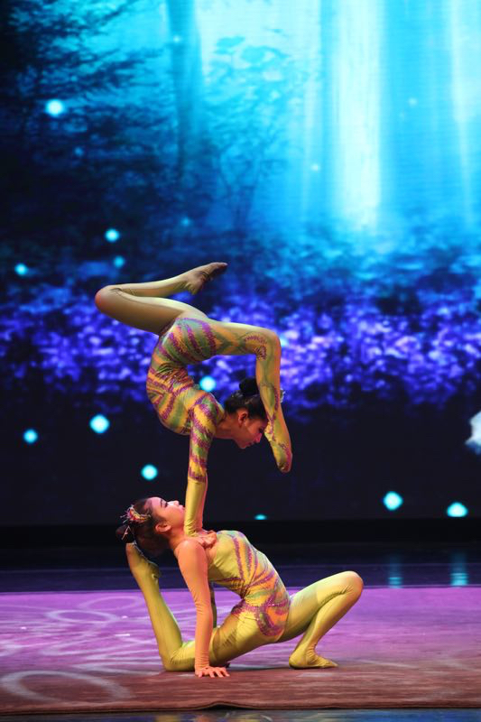 About the performers