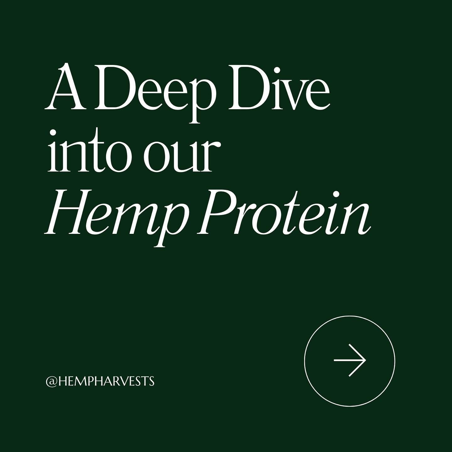 Meeting your daily protein requirements is important for so many reasons. 

Incorporating hemp protein is an easy way to ensure this, with a multitude of added benefits and without any of the negative side effects that you might come across in other 