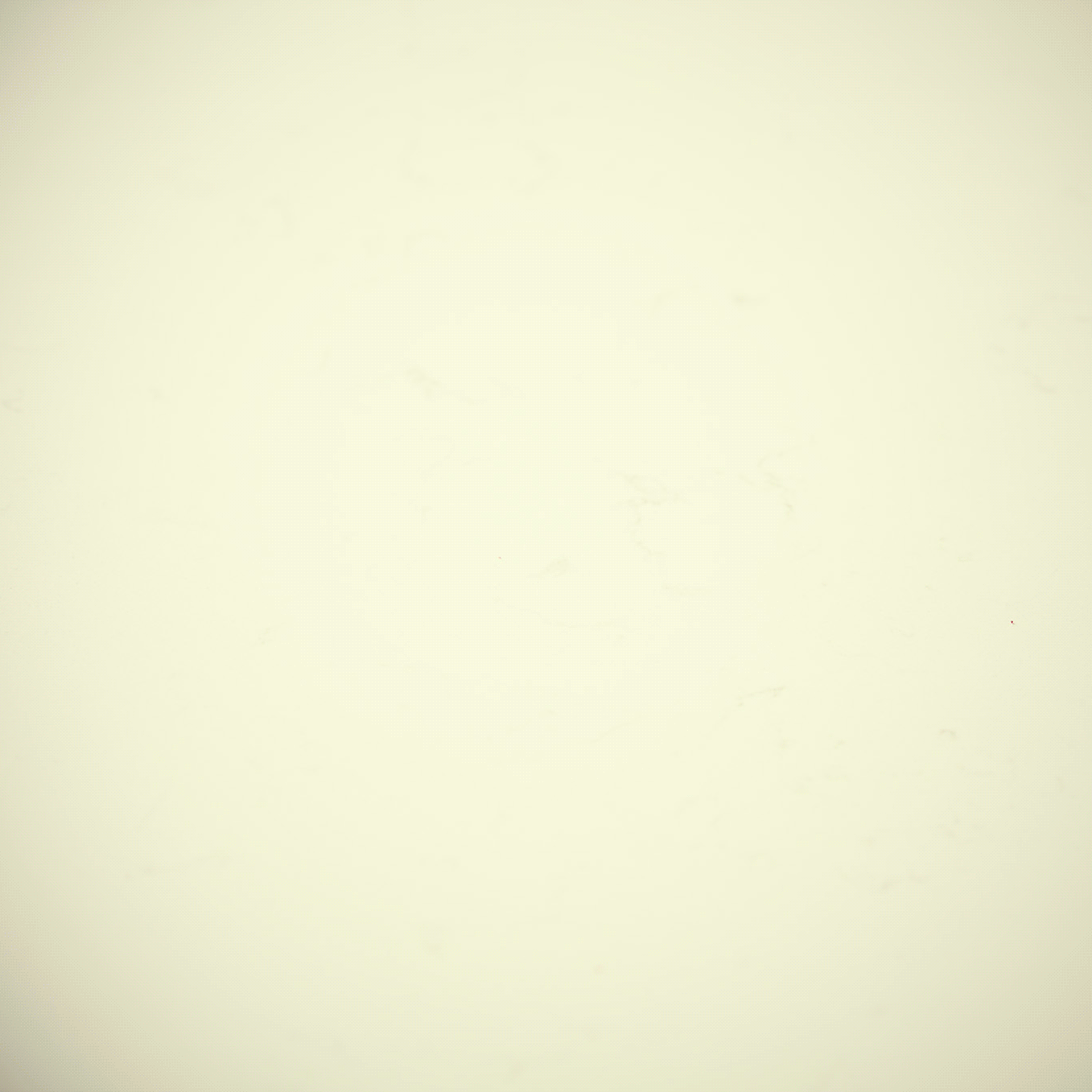 Crushed-Raspberru-&-Cream-Cheese-Sorbet-FINAL.gif