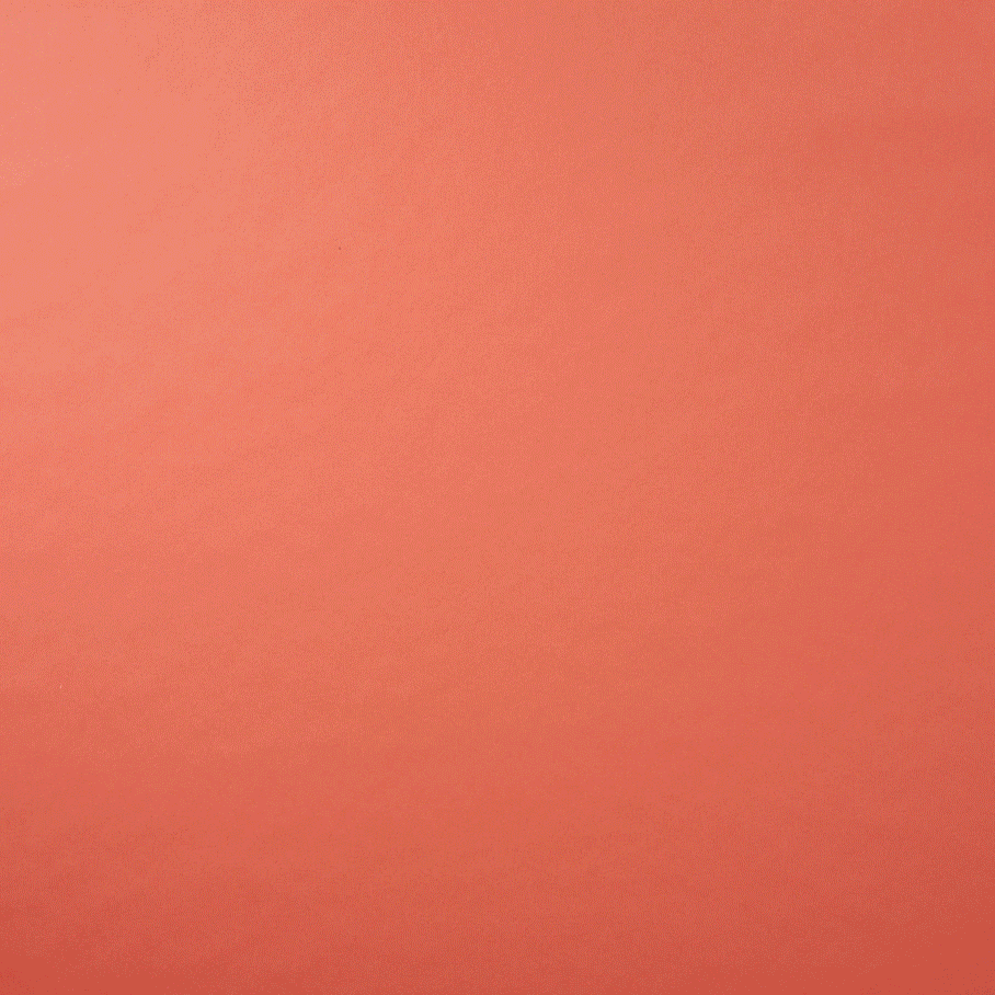 Tim.gif