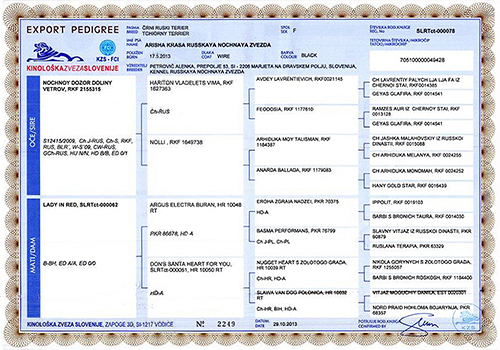 Arisha - Pedigree copy.jpg