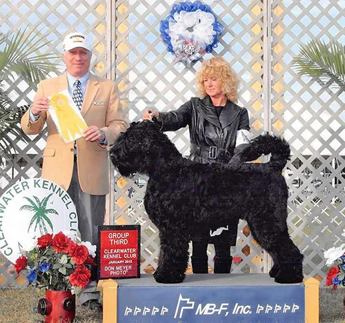 Our Girl Arisha Is #1 In the USA