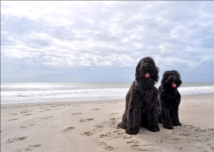 On-the-Beach.jpg