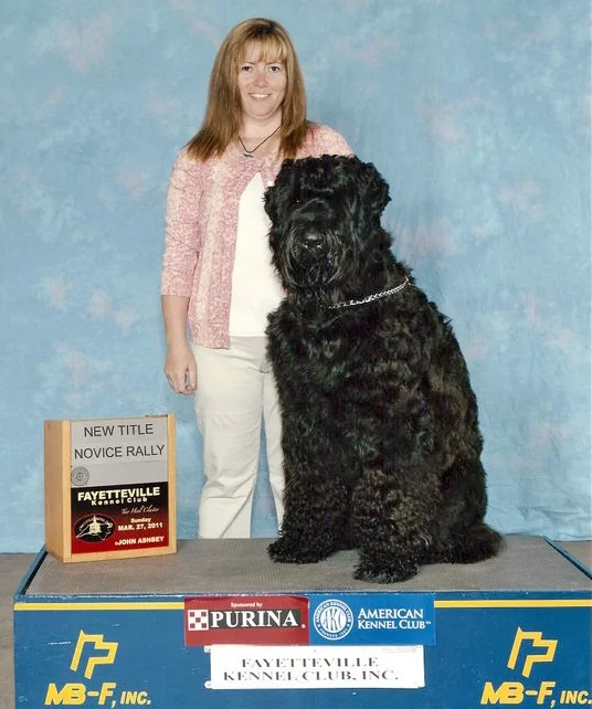 Juri earns his novice rally obedience title, July 2011