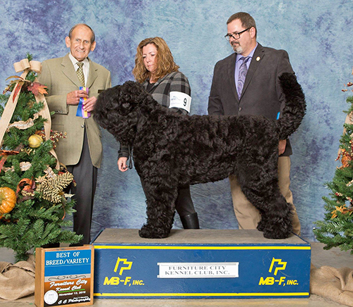 Oli Takes Best of Breed, with DeAnne and Richard