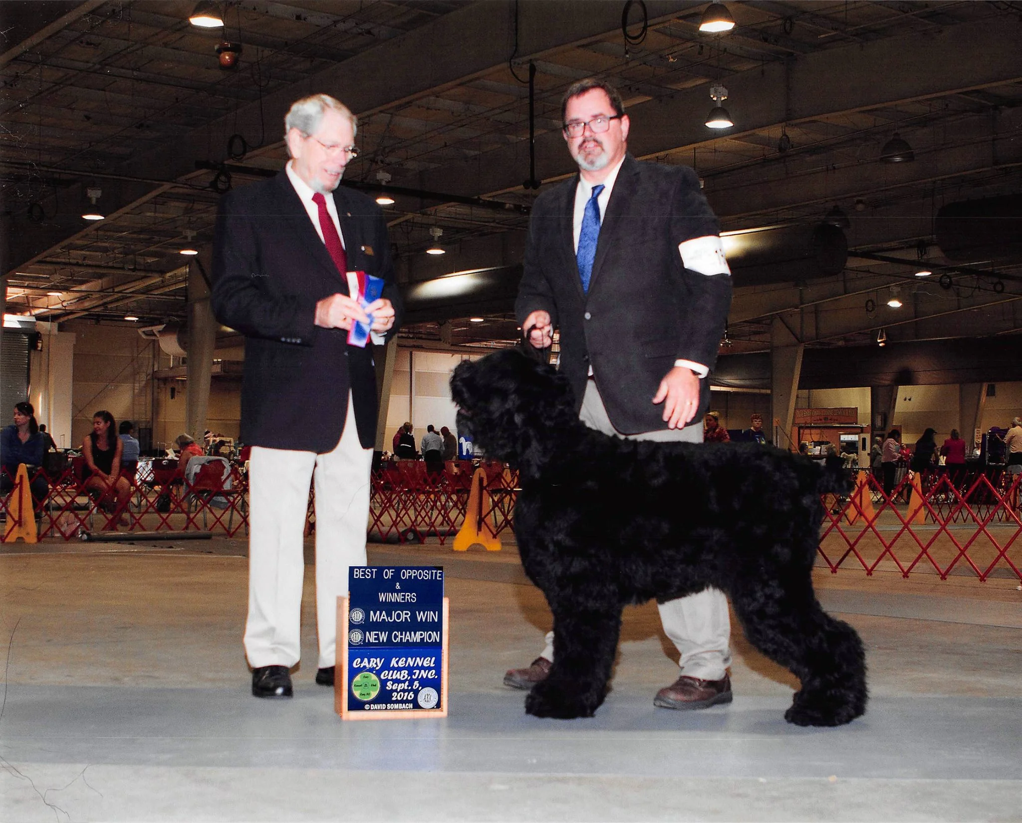 Maks-First-home-grown-AKC-Champ-Son-of-Graf-Sept-2016.jpg