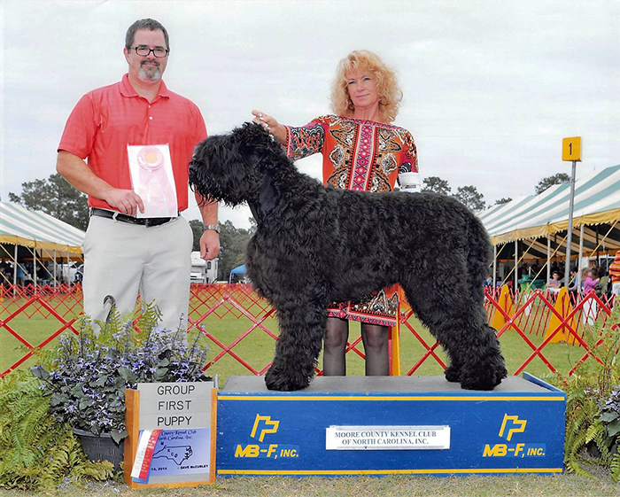 Mishka, Group First Puppy, Moore County Kennel Club Of North Carolina, 2014
