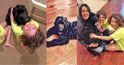 Bernadette (Guardian Bears All You Need Is Love) with her doting family in Oregon