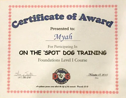 First Obedience certificate for Baby Myah (Guardian Bears Back In the Highlife)