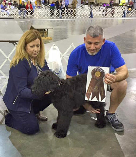 Gemma (Guardian Bears Back In the USSR) started her show career early with a Puppy Working Group 2 - with DeAnne Hawkes and Daddy Brian