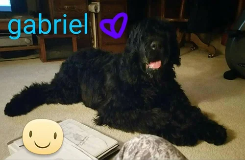 Gabriel