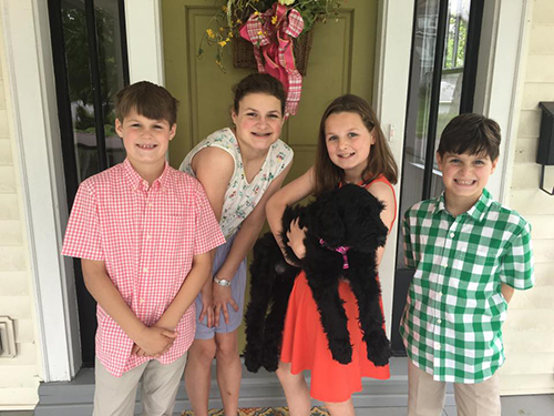 Mya (Guardian Bears Carolina Queen) inherited lots of new siblings!