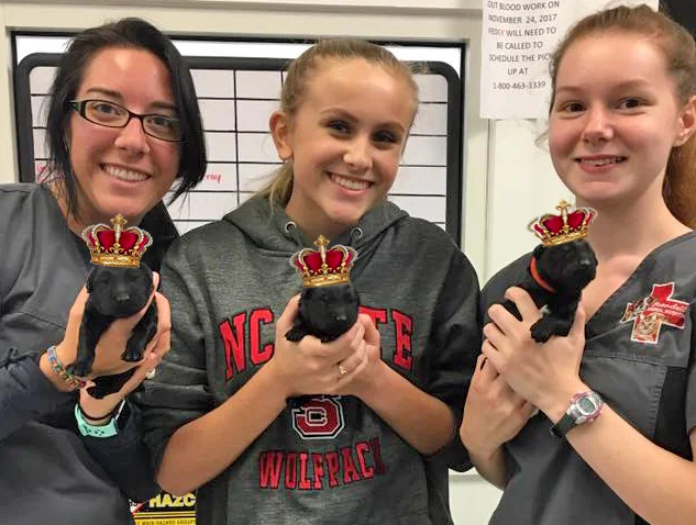 Introducing Our Royal E Litter from Princess Arisha!