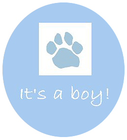 Its-a-boy.png