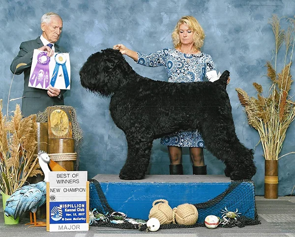Superstar Charlie at the BRTCA Nationals