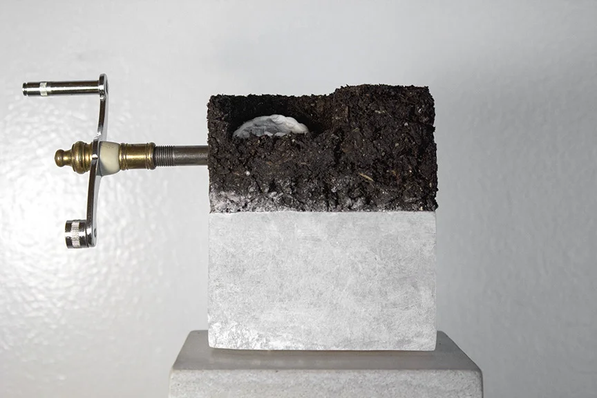    Alabastard [with Teeth]  Soil, plaster, motor, brass, stainless steel, alabaster, cement pedestal, misc components 4.5 x 7.5 x 2.25 in [without 5 x 5 x 55 in pedestal] view  documentation   2014  