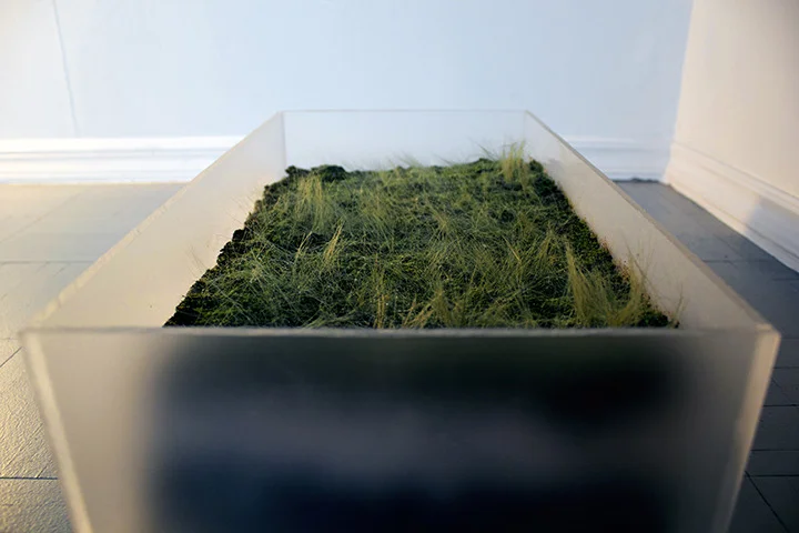     Blocks [simulation of the surface of things]  - detail Clay, Styrofoam, acrylic, synthetics, resin  15 x 12 x 6 in 2013 [NFS]  