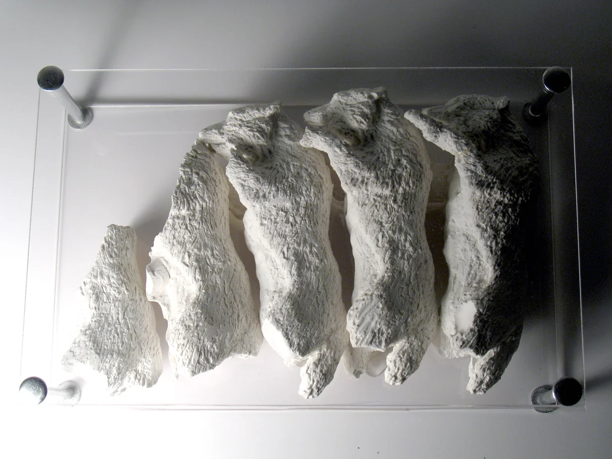 Untitled (study of wolf sculptures for Little Battle) media: plaster sculptures, acrylic case 5 x 8 x 1.75 in 2010-2011