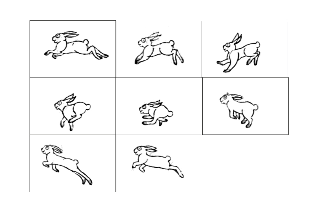   Rabbit Run  (for animation)&nbsp; Digital drawing 2012 