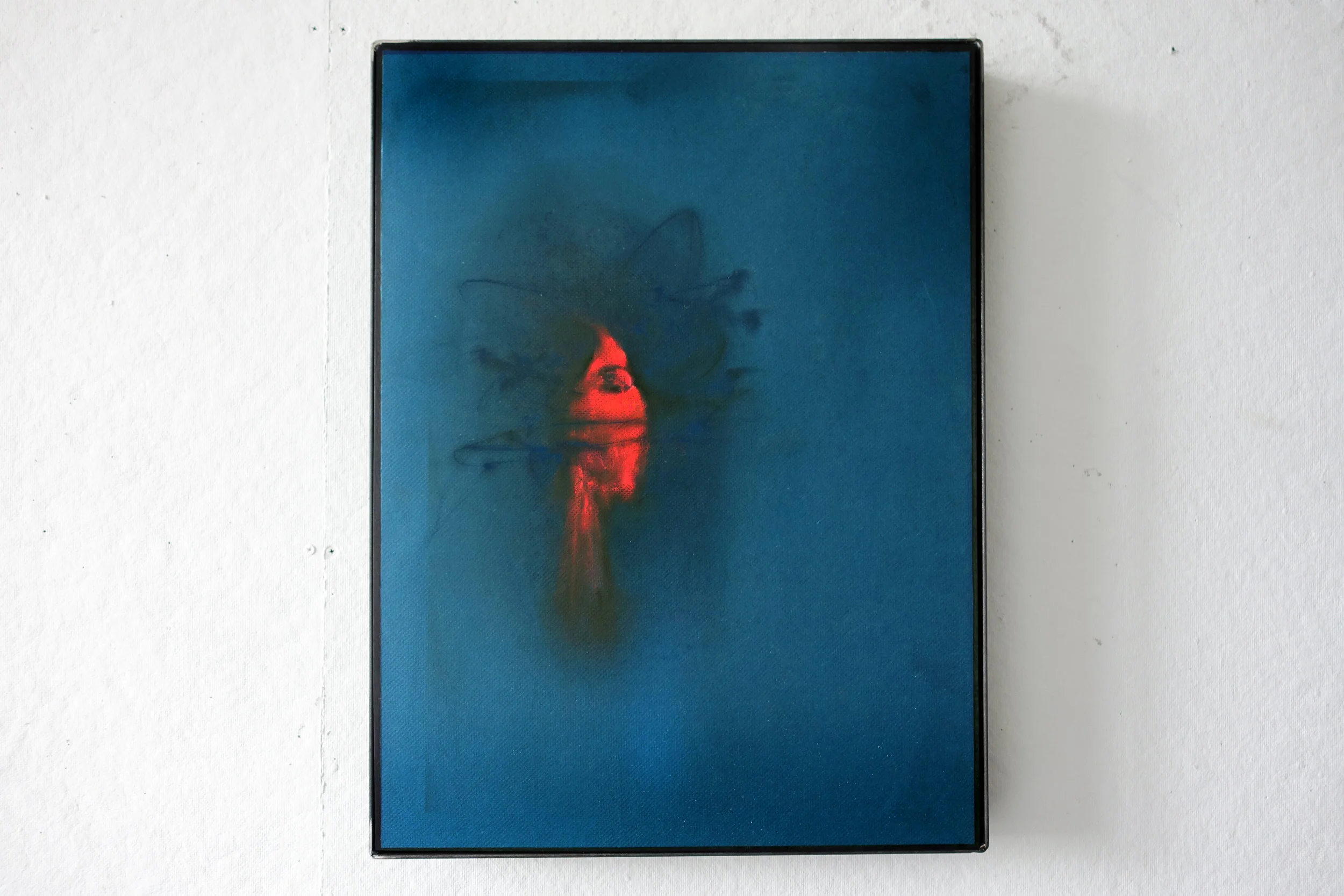  Cardinals &amp; Drones 2 Chalk on blue paper mounted on board, steel frame 18x24 inches 2014 